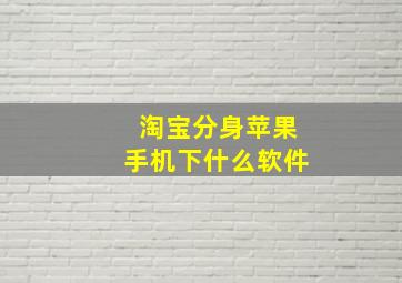 淘宝分身苹果手机下什么软件