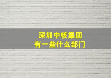 深圳中核集团有一些什么部门