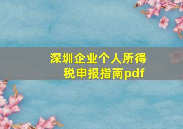 深圳企业个人所得税申报指南pdf