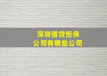 深圳借贷担保公司有哪些公司