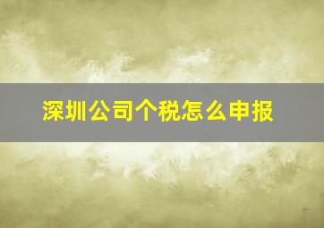 深圳公司个税怎么申报