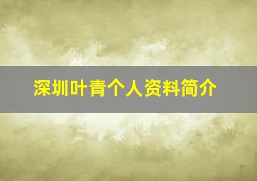 深圳叶青个人资料简介