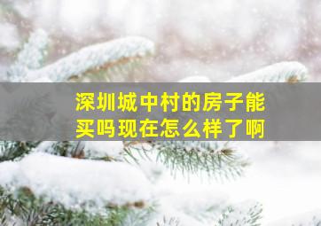 深圳城中村的房子能买吗现在怎么样了啊