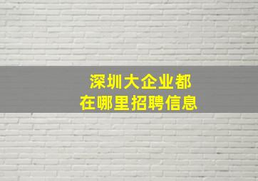 深圳大企业都在哪里招聘信息