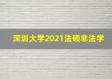 深圳大学2021法硕非法学