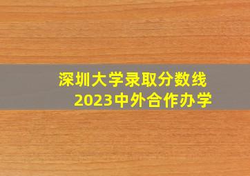 深圳大学录取分数线2023中外合作办学