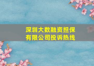 深圳大数融资担保有限公司投诉热线