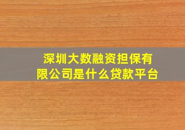 深圳大数融资担保有限公司是什么贷款平台