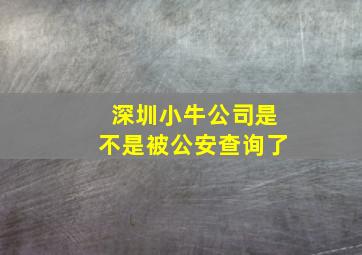 深圳小牛公司是不是被公安查询了