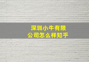 深圳小牛有限公司怎么样知乎