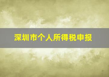 深圳市个人所得税申报