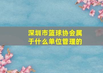 深圳市篮球协会属于什么单位管理的