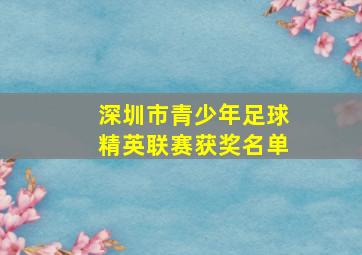 深圳市青少年足球精英联赛获奖名单