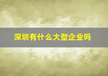 深圳有什么大型企业吗