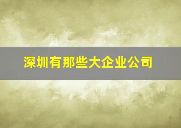 深圳有那些大企业公司