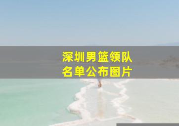 深圳男篮领队名单公布图片