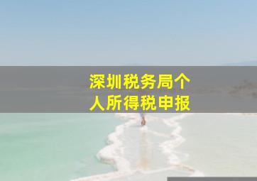 深圳税务局个人所得税申报