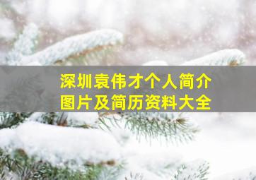 深圳袁伟才个人简介图片及简历资料大全