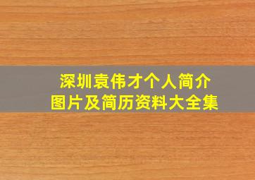 深圳袁伟才个人简介图片及简历资料大全集