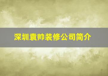 深圳袁帅装修公司简介