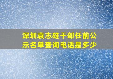 深圳袁志雄干部任前公示名单查询电话是多少