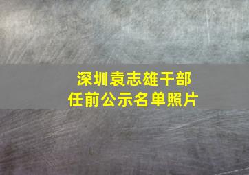 深圳袁志雄干部任前公示名单照片