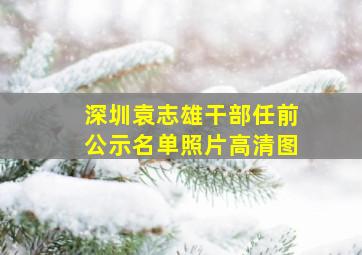 深圳袁志雄干部任前公示名单照片高清图