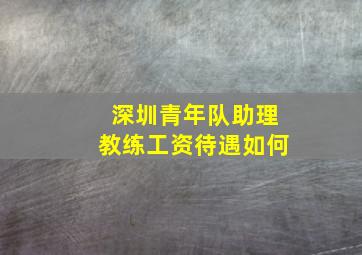 深圳青年队助理教练工资待遇如何