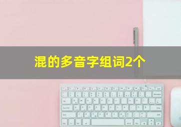 混的多音字组词2个