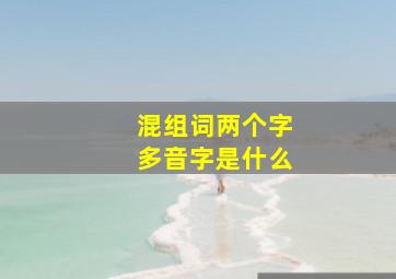 混组词两个字多音字是什么