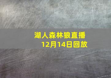 湖人森林狼直播12月14日回放