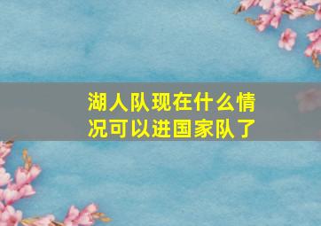 湖人队现在什么情况可以进国家队了