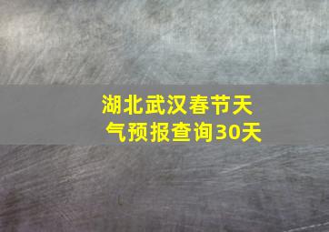 湖北武汉春节天气预报查询30天