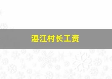 湛江村长工资