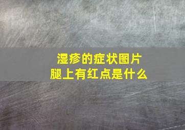 湿疹的症状图片腿上有红点是什么