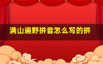 满山遍野拼音怎么写的拼