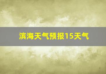 滨海天气预报15天气