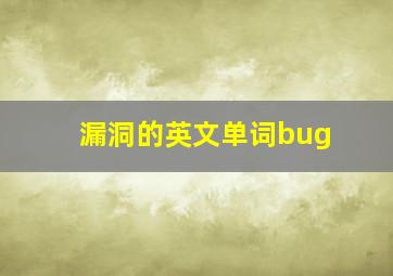 漏洞的英文单词bug