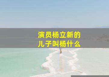 演员杨立新的儿子叫杨什么