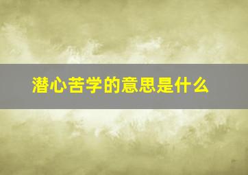 潜心苦学的意思是什么