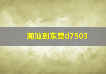 潮汕到东莞d7503