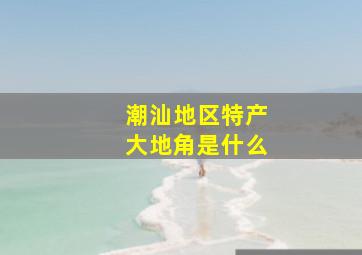 潮汕地区特产大地角是什么