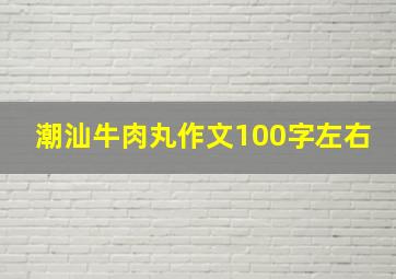 潮汕牛肉丸作文100字左右