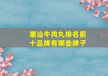 潮汕牛肉丸排名前十品牌有哪些牌子