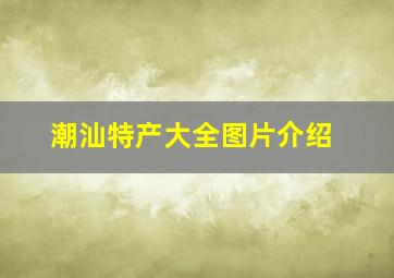 潮汕特产大全图片介绍