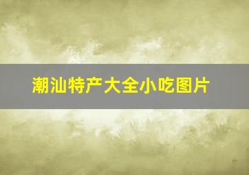 潮汕特产大全小吃图片