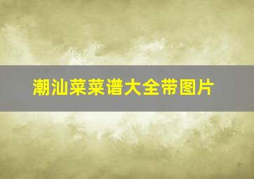 潮汕菜菜谱大全带图片