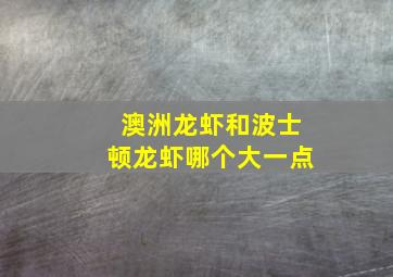 澳洲龙虾和波士顿龙虾哪个大一点