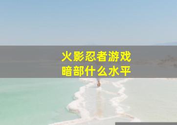 火影忍者游戏暗部什么水平