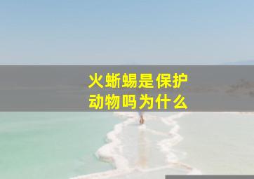 火蜥蜴是保护动物吗为什么